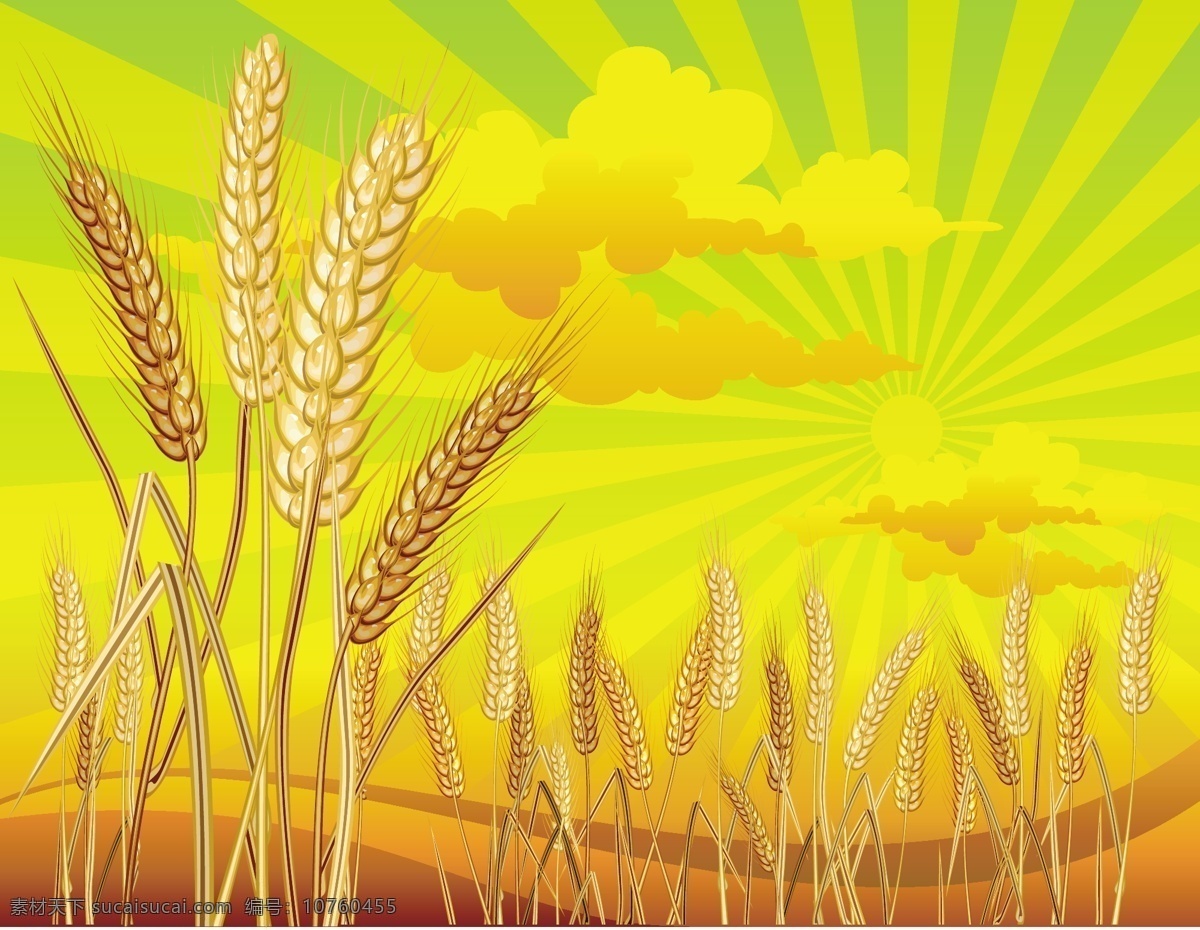 小麦 主题 矢量 label 丰收 光芒 粮食 矢量素材 丝带 云朵 庄园 自然 收成