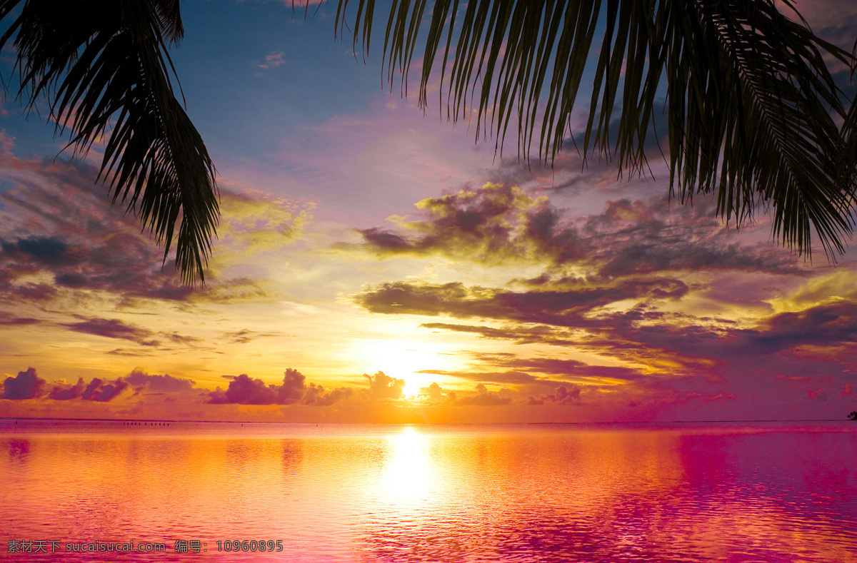 落日 前 海平面 夕阳 大海 海面 平静的海面 椰树 天空 白云 大海图片 风景图片