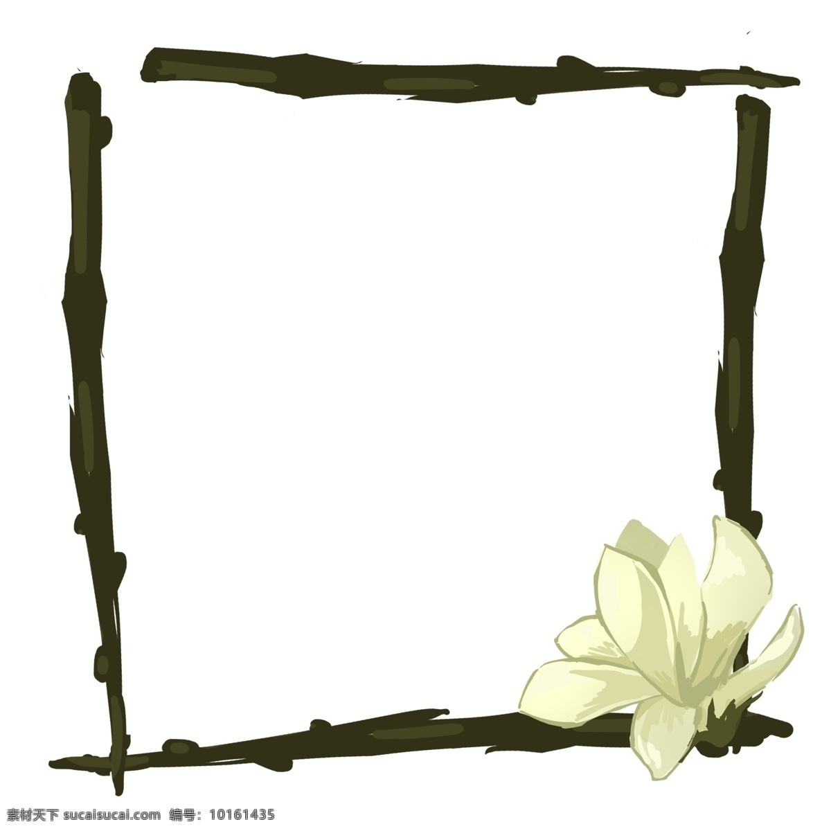黑色 花枝 方形 边框 黑色花枝 白色花朵 方形边框