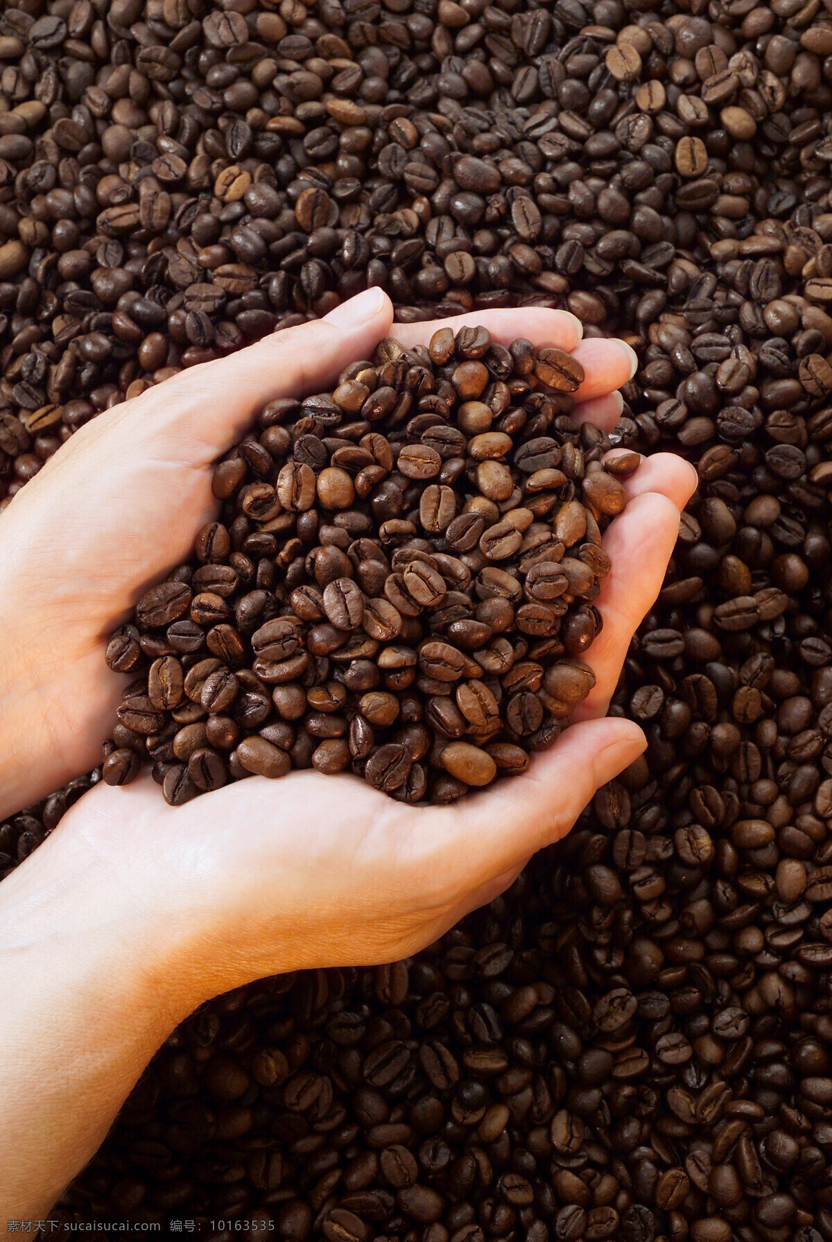 捧 咖啡豆 coffee 咖啡 一片咖啡 许多咖啡豆 颗粒 手势 手 捧着 一捧咖啡豆 特写 原材料 高清图片 咖啡图片 餐饮美食