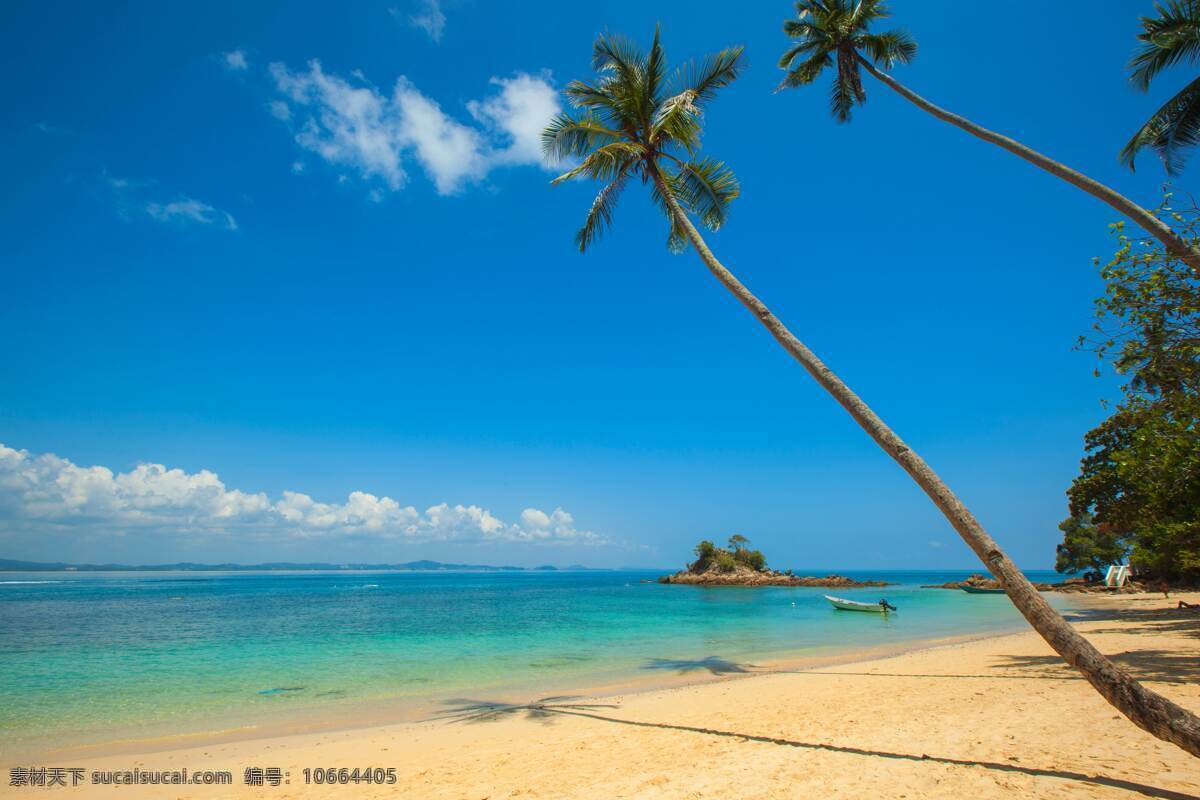 海景 海边风景 沙滩 椰子树 阳光 自然景观 山水风景