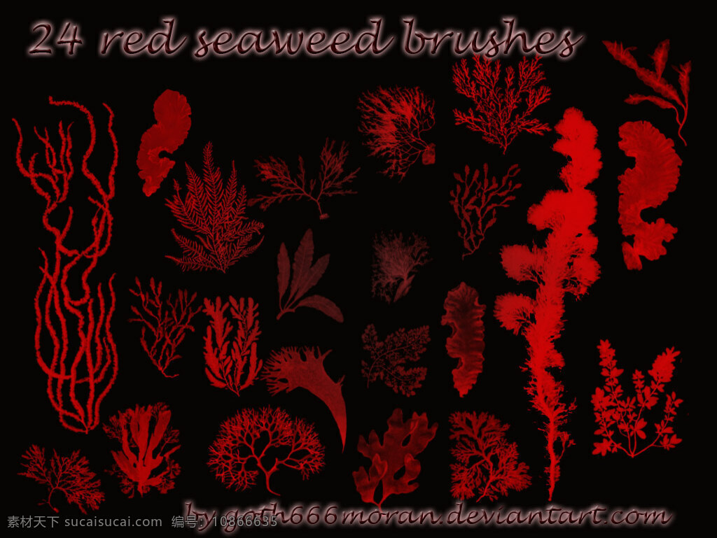 款 海底 海藻 效果 ps 笔刷 24款 红色 创意 黑色