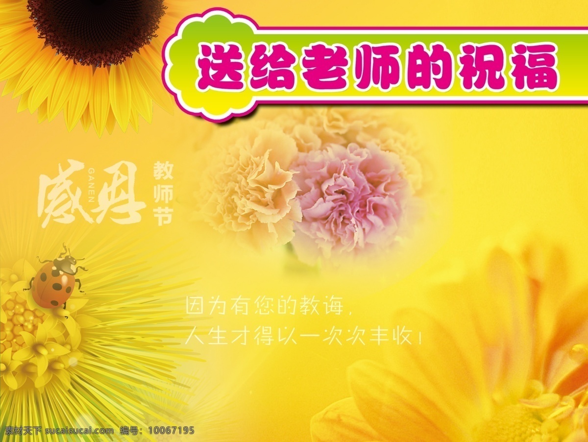 教师节 送给老师 祝福 感恩 花朵 向日葵 温馨 浪漫 康乃馨 展板模板