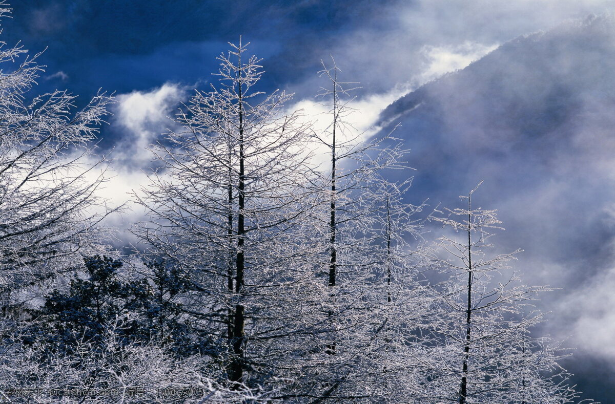 冬天 雪景 大雪 冬天雪景 风景 生活 旅游餐饮