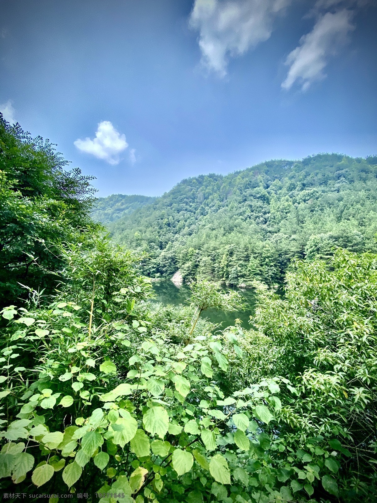 青山绿水 自然美景 山川 山川河流 青山 绿水 旅游 美景 户外 自然 清新 山林 湖水 湖畔 湖泊 河水 河流 小溪 生活百科 生活素材