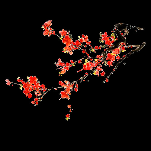 梅花素材 梅花 透明 背景 水墨 元素