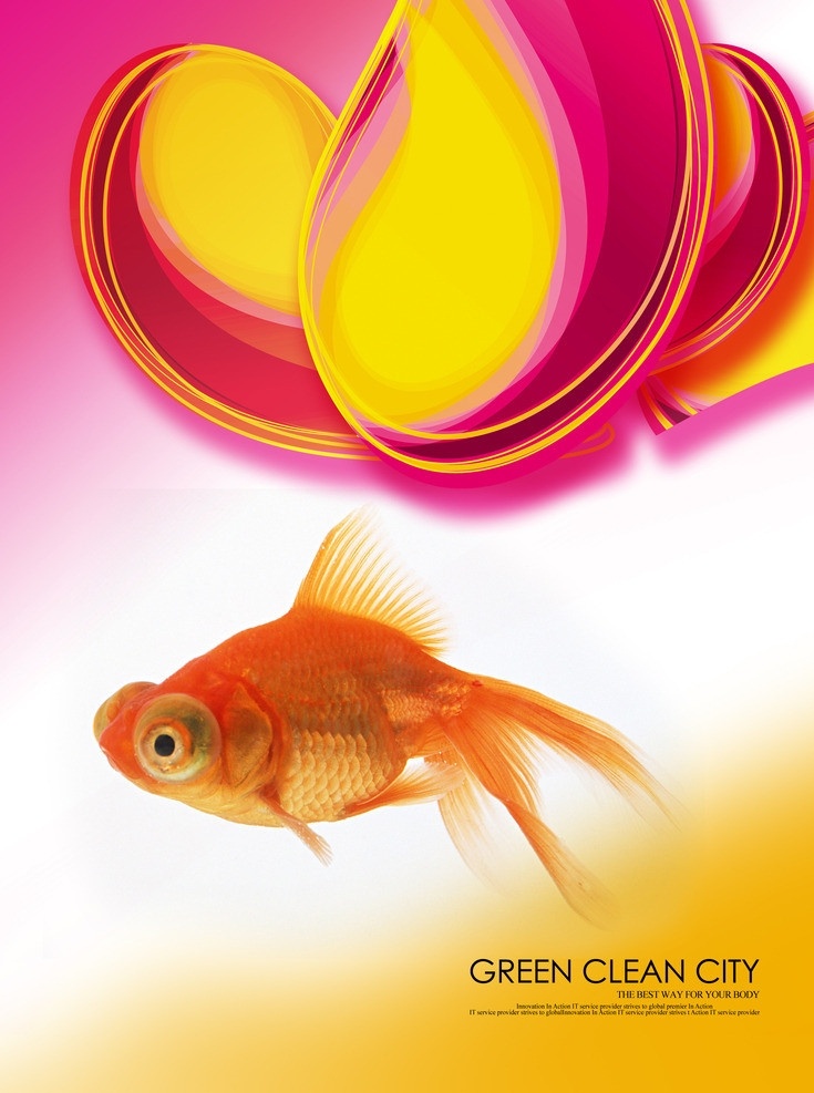 金鱼海报 金鱼 鱼儿 鱼 时尚背景 广告设计素材 生物 广告设计模板 源文件