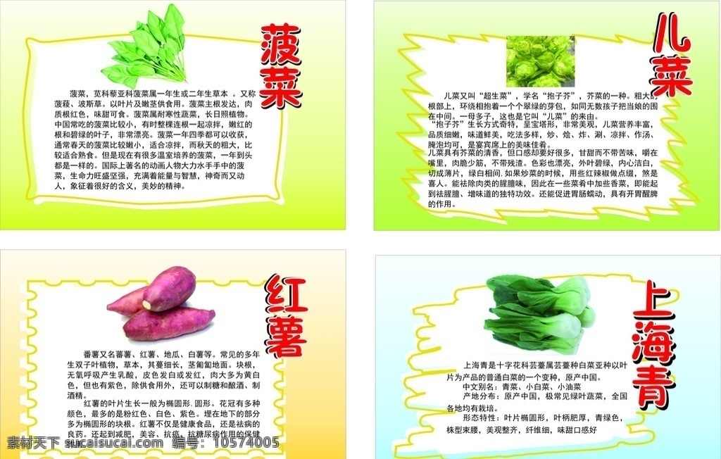 幼儿蔬菜介绍 蔬菜 蔬菜介绍 蔬菜模板 蔬菜介绍模板 模板 介绍模板 生活百科 生活用品