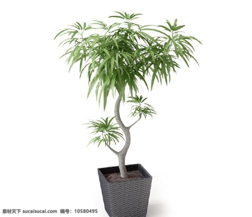 植物 植物模型 盆栽 花卉 花 树 花模型 叶子模型 室内植物 花盆 环艺设计 室内绿化 艺术花盆 绿化 灌木 绿化植物 花草 花卉模型 家装模型 室内模型 3d 装修模型 vray 3dmax 室内设计 家具模型 室内设计模型 3d设计模型 源文件 max 3d模型库 3d设计