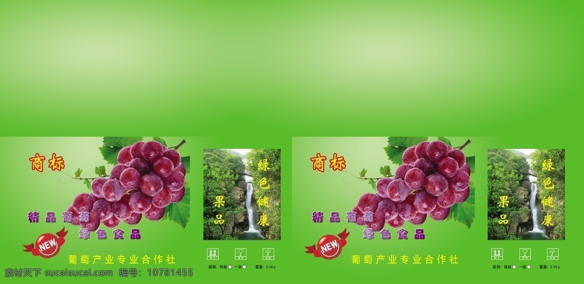 葡萄包装设计 葡萄 瀑布 绿底 水果包装设计 包装设计 广告设计模板 源文件