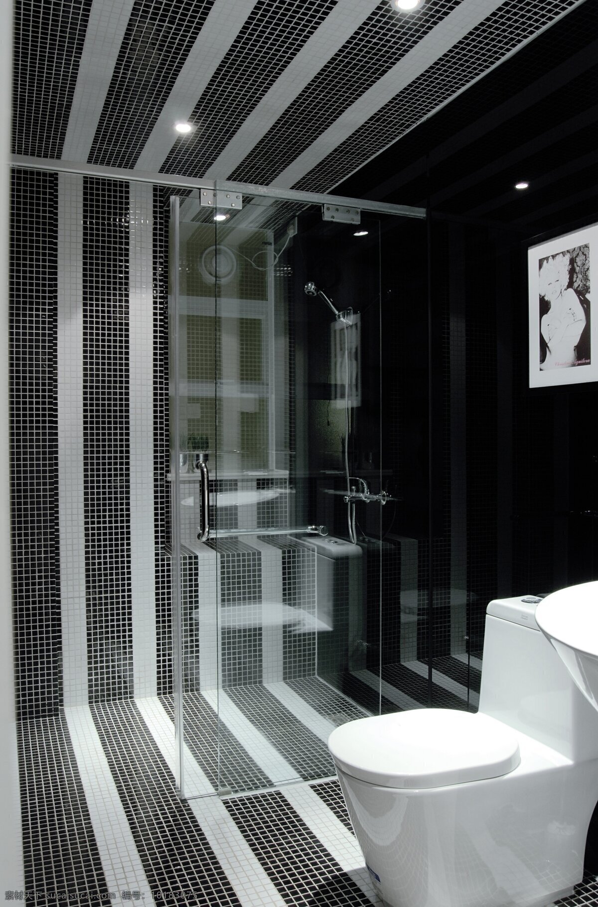 小 户型 欧式 透明 卫生间 马桶 现代 简约 室内设计 效果图 风 家装 家居 家具 装饰画