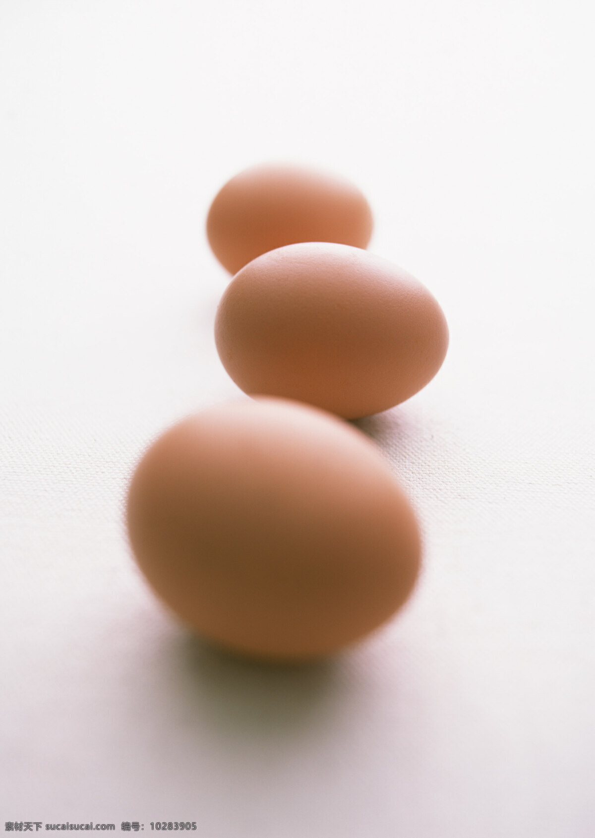 鸡蛋摄影 鸡蛋 蛋 食物原料 餐饮美食 食材原料 白色