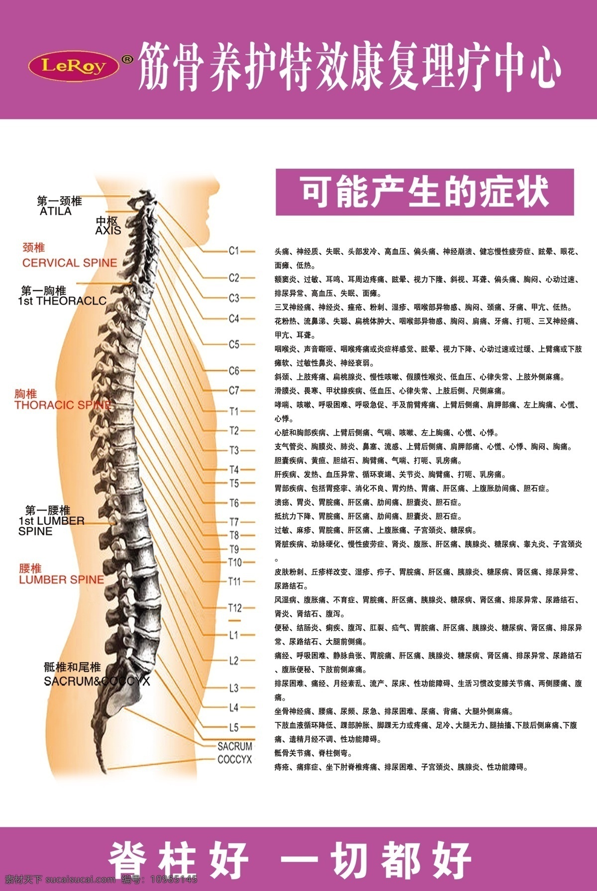 筋骨养护 筋骨保养 胫骨养护 养生 人体图筋骨图 分层