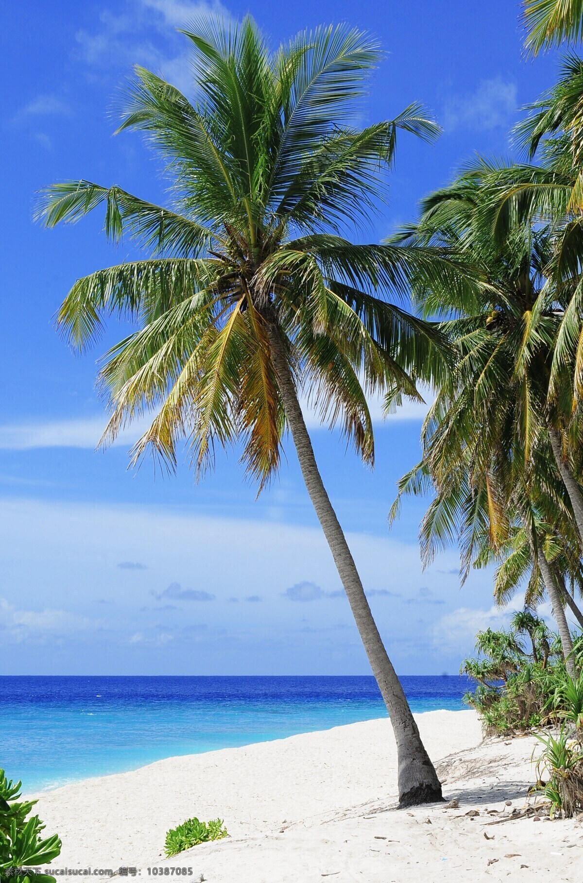 环礁 海滩 夫妇 目的地 度假 蜜月 岛 爱 马尔代夫 自然景观 山水风景