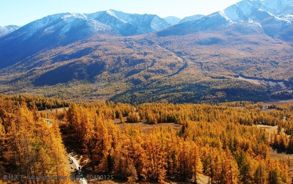 新疆 喀纳斯 秋色 塔松 山峦 山道 草原 雪山 蓝天 新疆哈纳斯 风景名胜 自然景观