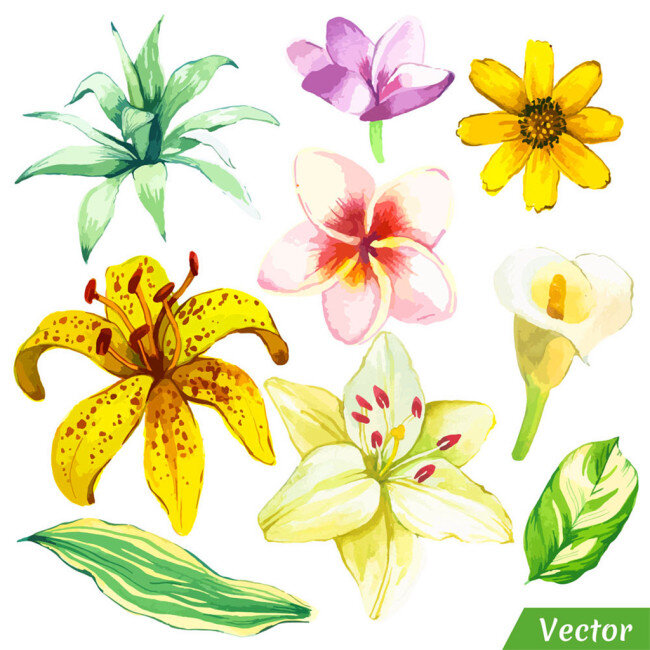热带 花朵 绿叶 图案 广告 背景 背景素材 素材免费下载 底纹背景 黄色