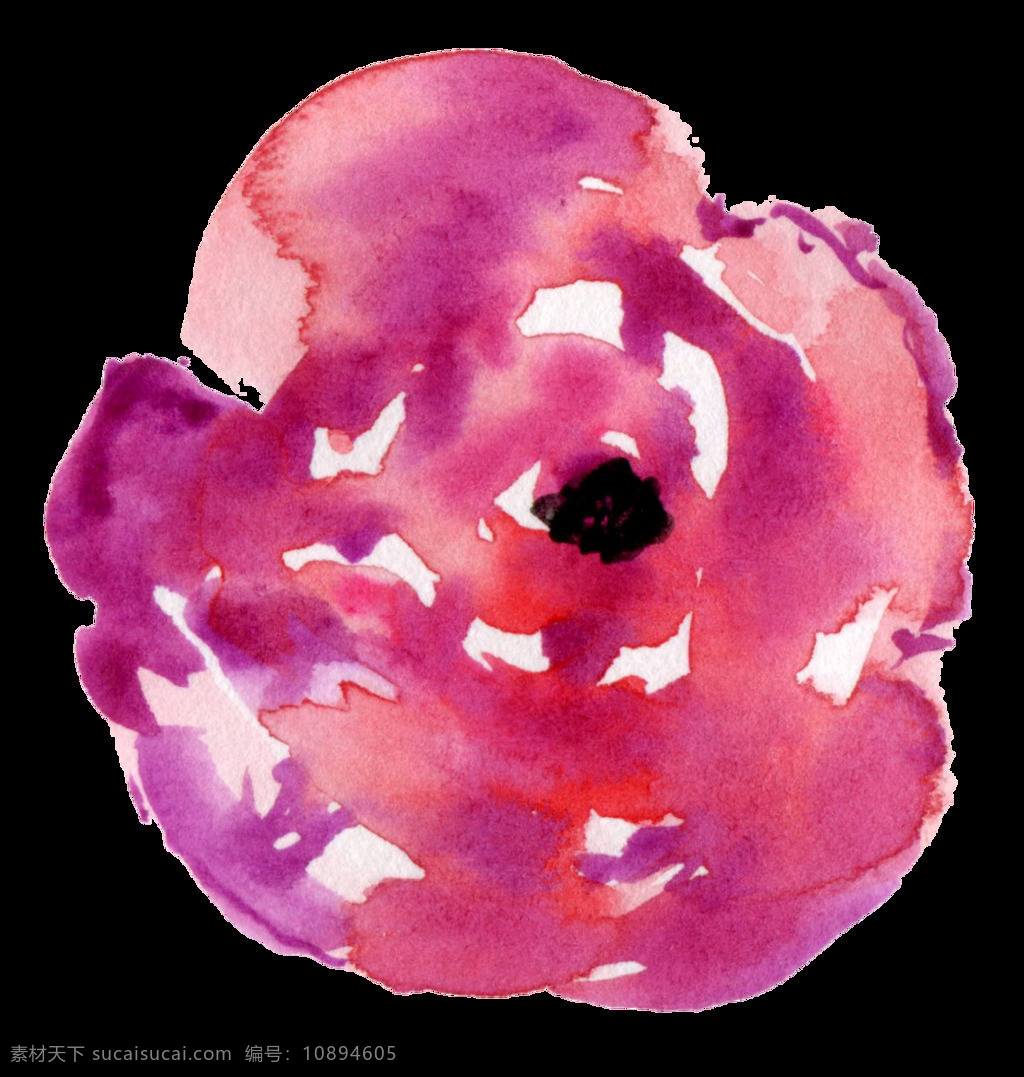 水彩 彩色 精致 花朵 免 扣 合集 插画 创意 粉色 黑色 花瓣 花卉 黄色 橘色 卡通 蓝色 手账素材