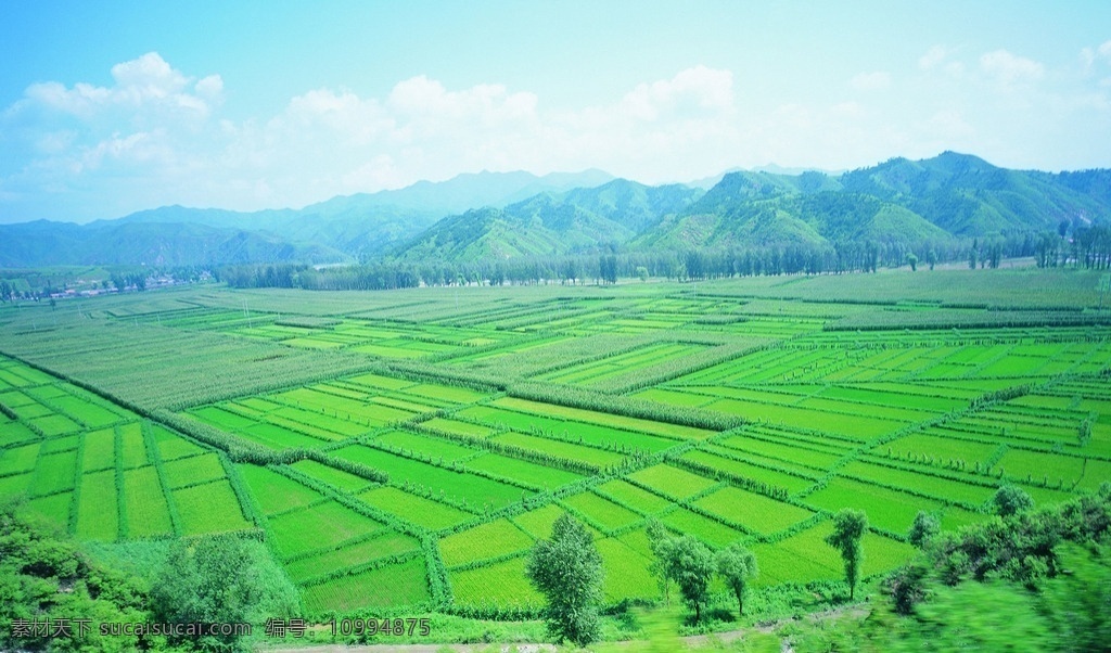 蓝天 白云 青山 绿树 树木 田地 田园景色 庄稼 风景图片 自然景观 田园风光