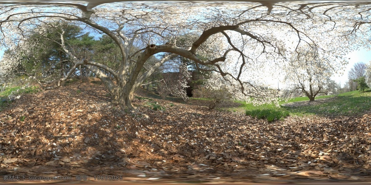 hdr 落叶 环境 贴图 3d贴图 hdr贴图 草地 花草 花开 环境贴图 枯叶 源文件 hdri贴图 hdri 光照贴图 灯光贴图 3d模型素材 材质贴图