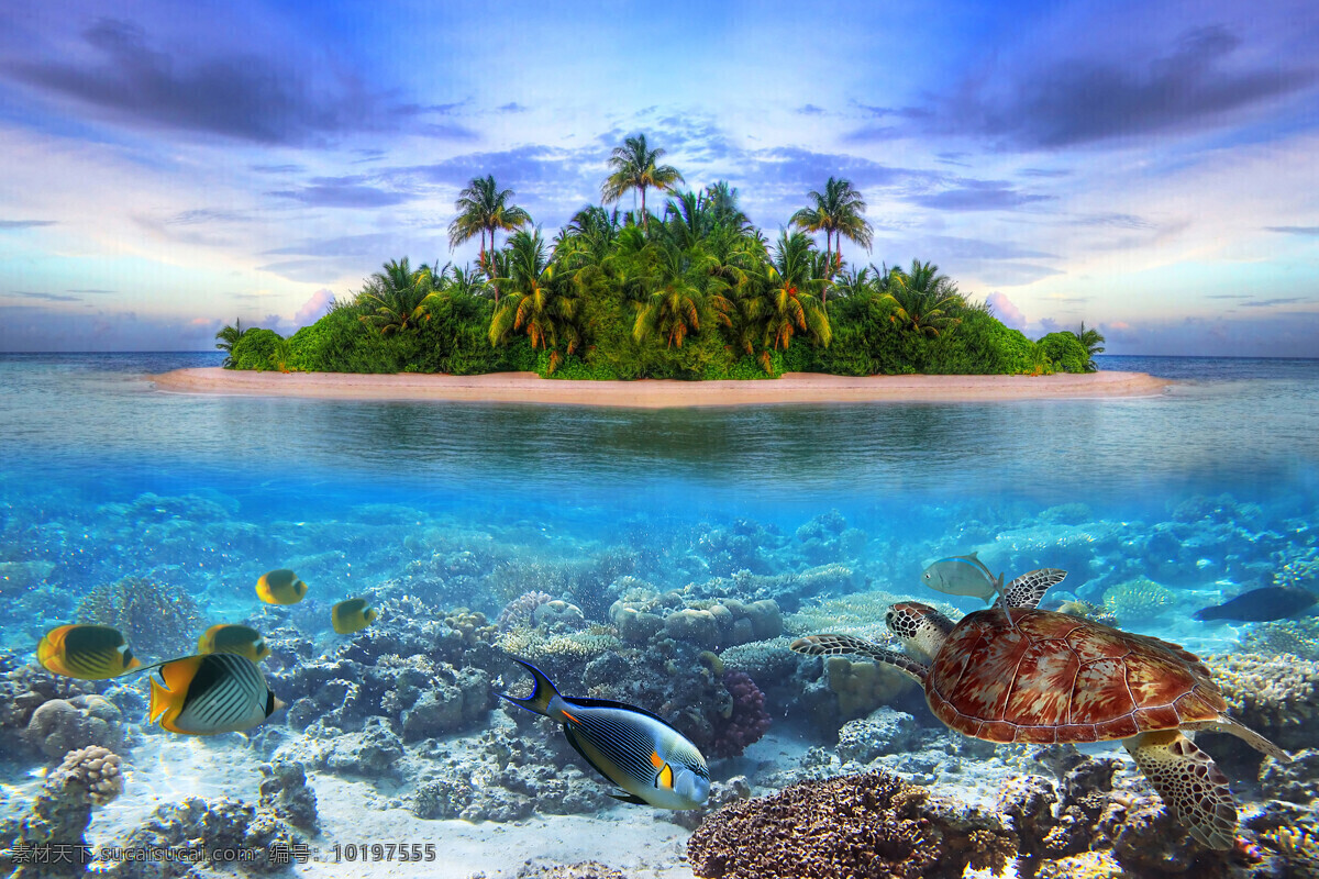 海底 世界 海岛 风景 海岛风景 海底世界 海龟 鱼 美丽海岸风景 大海风景 海景 美丽风景 大海图片 风景图片