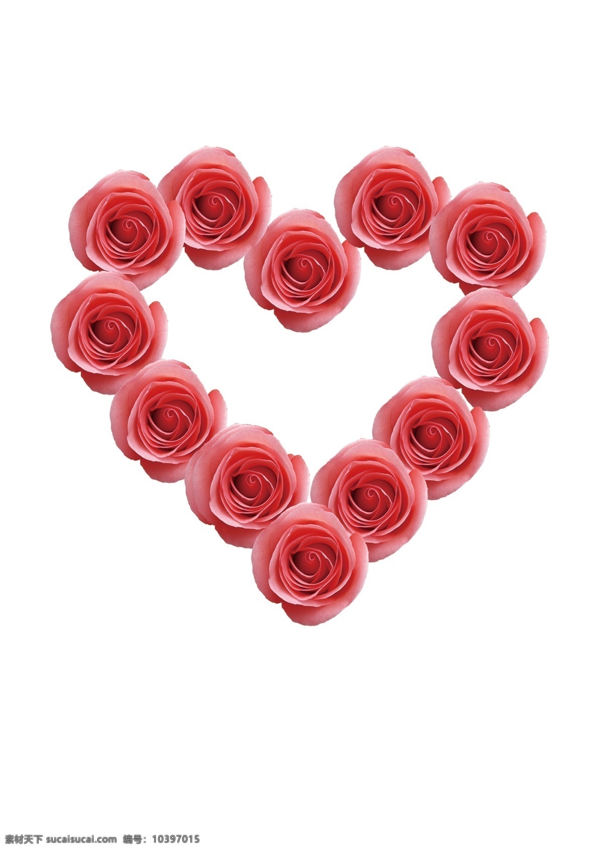 爱心玫瑰花素材图片下载-素材编号12350783-素材天下图库