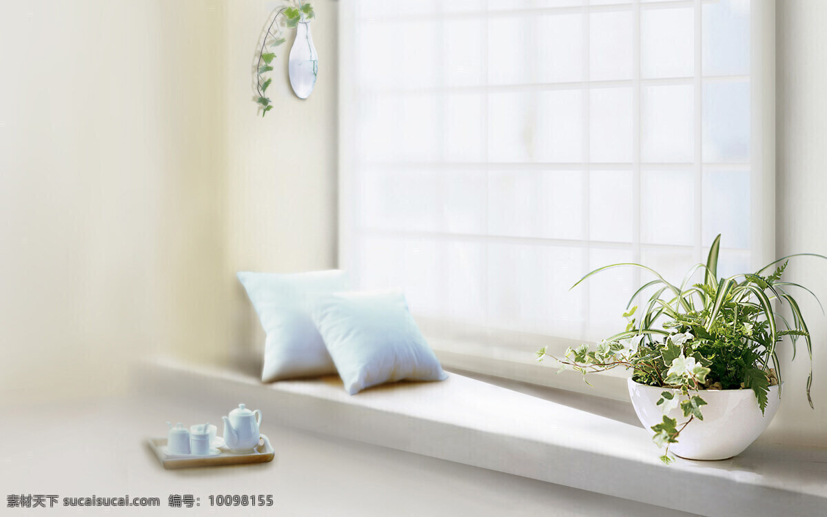 窗台 植物 枕头 室内 家居装饰 欧美家居 家居 建筑园林 室内摄影