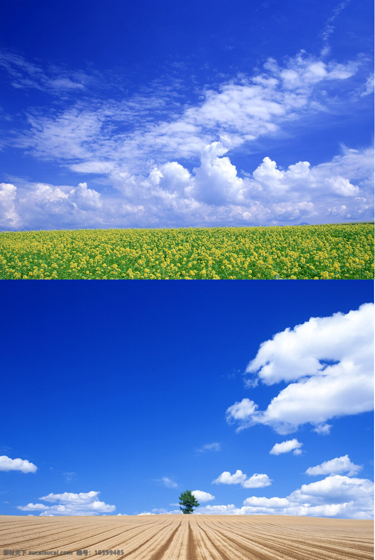 外景 天空背景图 天空素材 云背景 夕阳素材 蓝天素材 白云 白云背景素材 婚纱照背景 天空背景 婚纱照素材 淘宝设计素材 背景素材 云 自然景色 风景图 蓝天白云 晚霞 摄影图 摄影素材 日出 淘宝素材 背景图 火烧云 装饰画 蓝天 白云素材 云素材 摄影图片 自然景观 自然风景