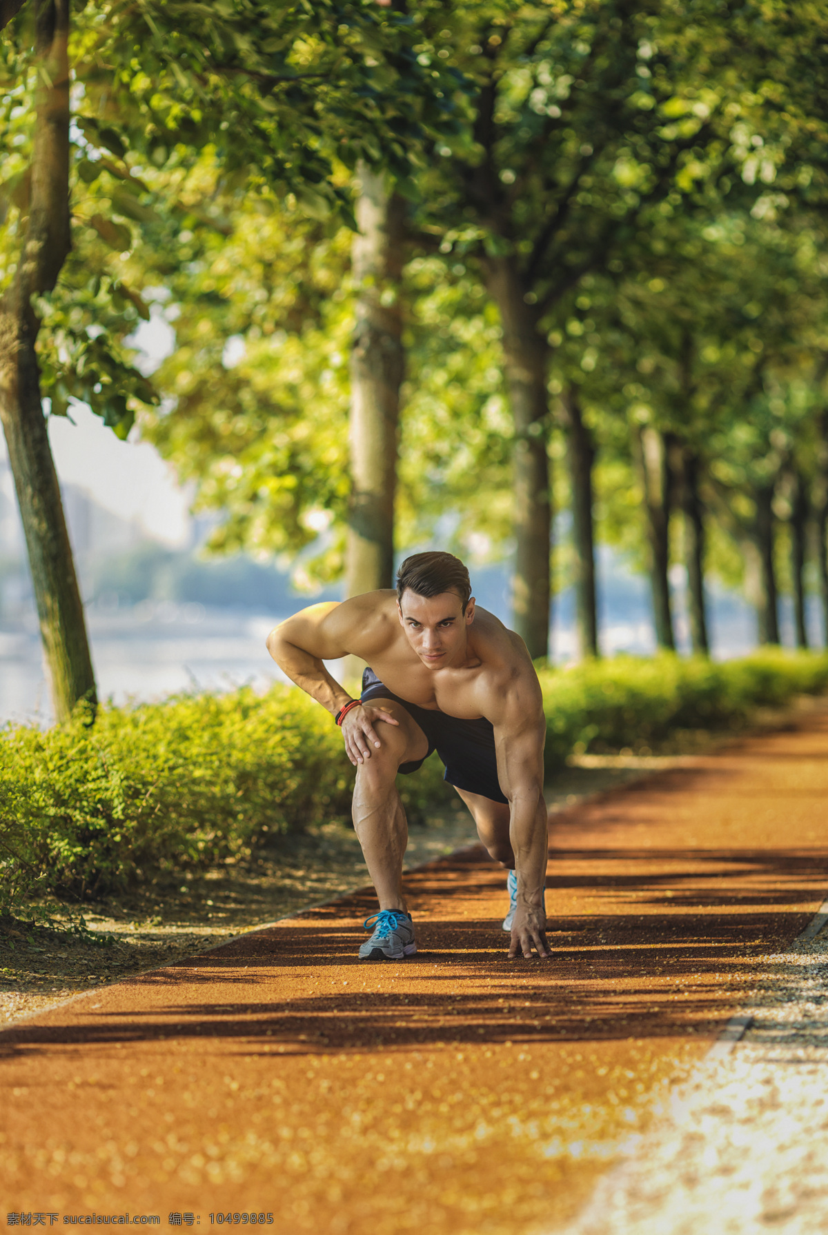 公园 跑步 肌肉 男人 锻炼健身 瘦身减肥 瘦身男人 外国男人 生活人物 人物图片