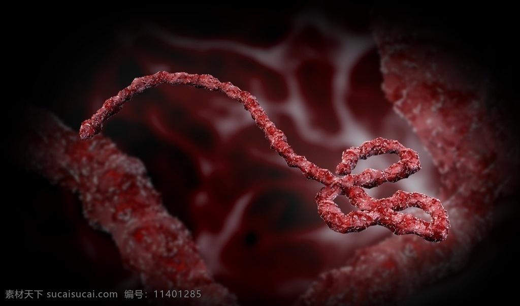 炫 酷 埃博拉 病毒 唯美 炫酷 微生物 病原体 3d 3d设计