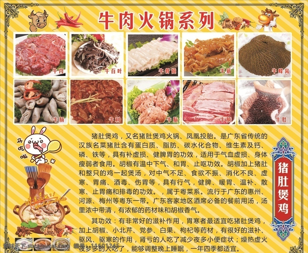 牛肉 火锅 猪肚 鸡 功效 牛肉火锅 猪肚鸡功效 美食展板 黄色展板 矢量 生活百科