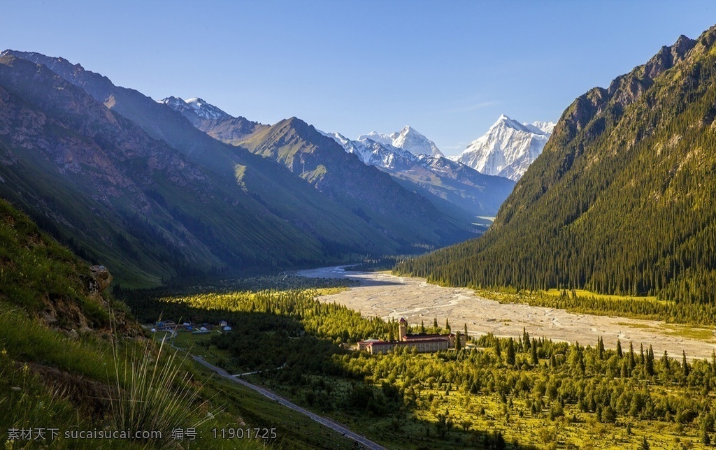 新疆风光 伊犁风景 雪山 大雪山 昭苏风景 夏塔风光 蓝天白云 松树林 夏塔沟 草原风光 旅游摄影 国内旅游