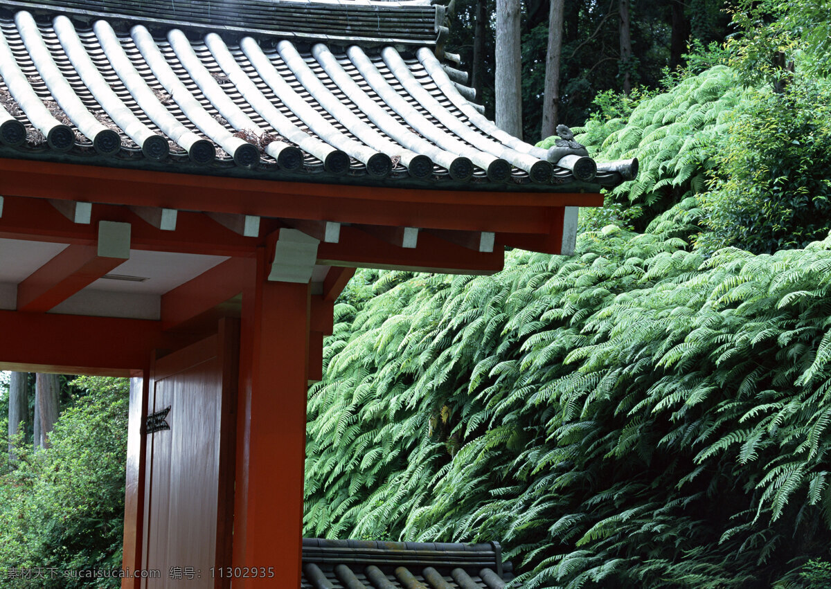 古代建筑 房子 日本建筑 木房 风景 生活 旅游餐饮