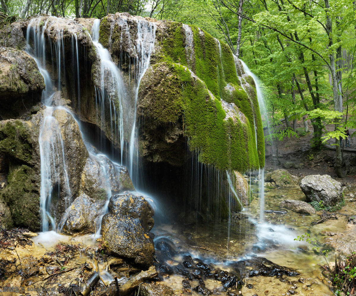 树林 里 瀑布 溪流 绿树 石头 大自然 瀑布图片 风景图片