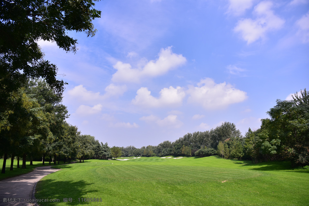高尔夫球道 草坪 高尔夫 球道 挥杆 风景 运动 娱乐 蓝天白云 自然景观 自然风景