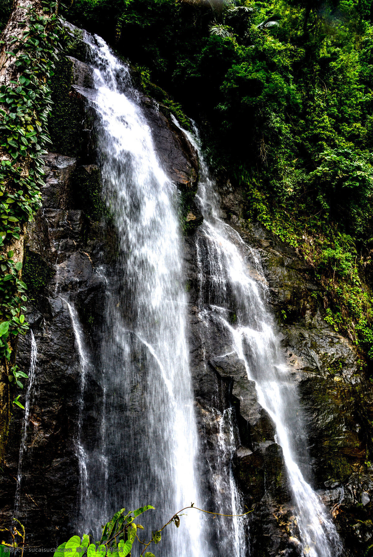 雨林瀑布图片 热带雨林 海南 百花岭 金龙吐珠 自然景观 自然风景