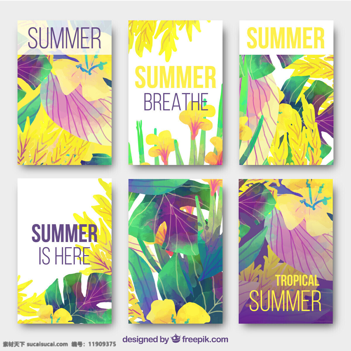 缤纷 热带 夏季 卡片 收藏 花卉 树 水 夏天 树叶 自然 海洋 海滩 阳光 色彩 假日 五颜六色 植物 水彩画 棕榈树
