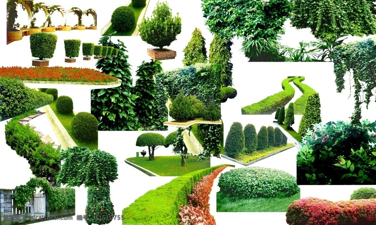 植物 绿化带 灌木 侧柏 绿色 花 绿色的植物 草 红色的花 绿化 植物素材 盆景 分层 源文件