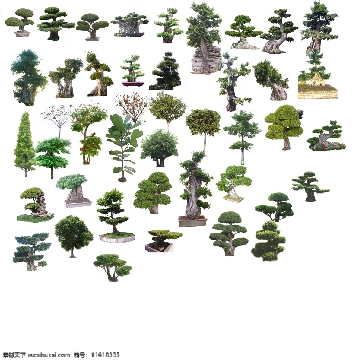 各种盆景素材 各种 盆景 树木 园林树木 分层 源文件