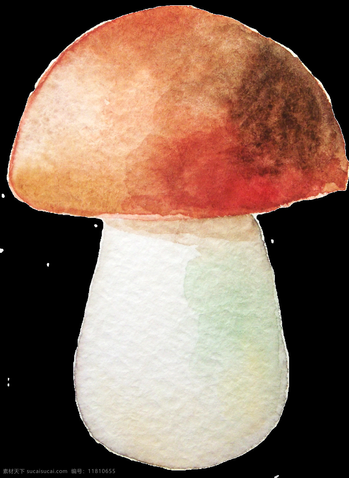 大型 蘑菇 卡通 透明 蔬菜 白色 透明素材 免扣素材 装饰图案
