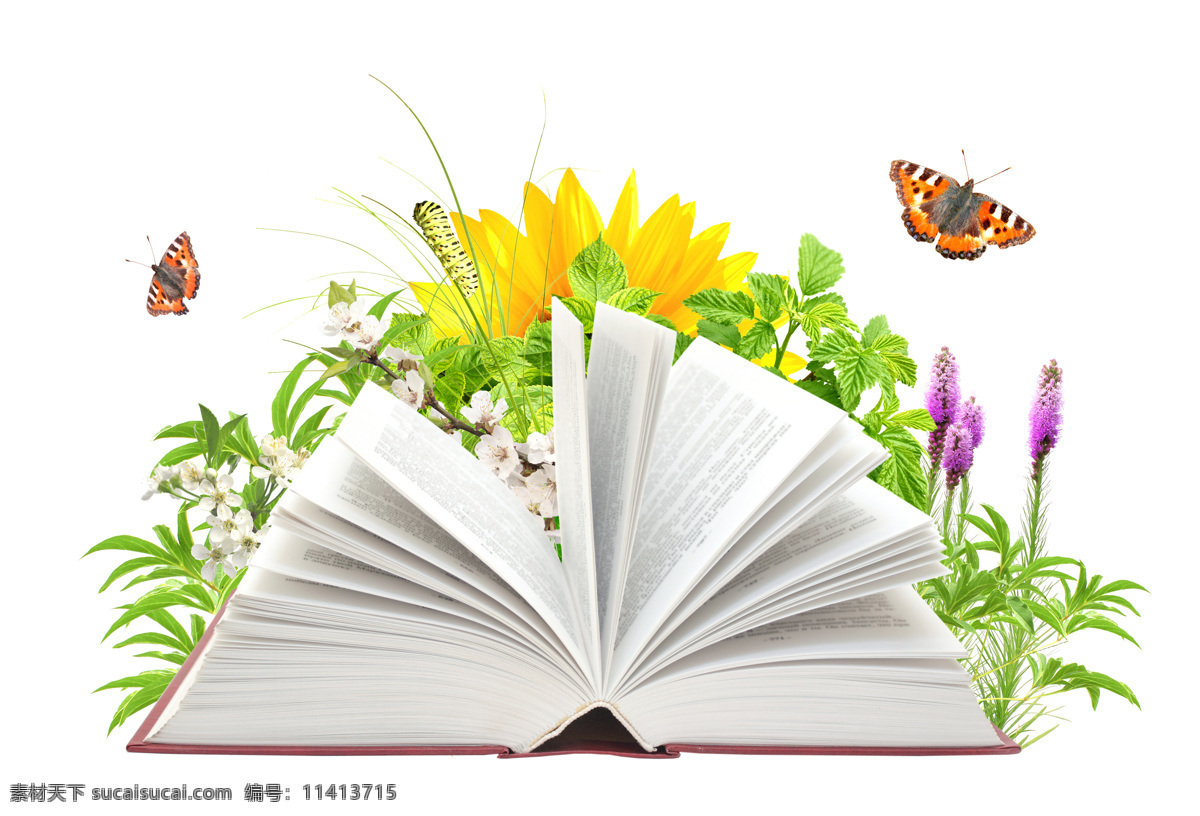 书本 鲜花 蝴蝶 翻开的书 学习 知识 创意 抽象 花朵 书本图片 生活百科