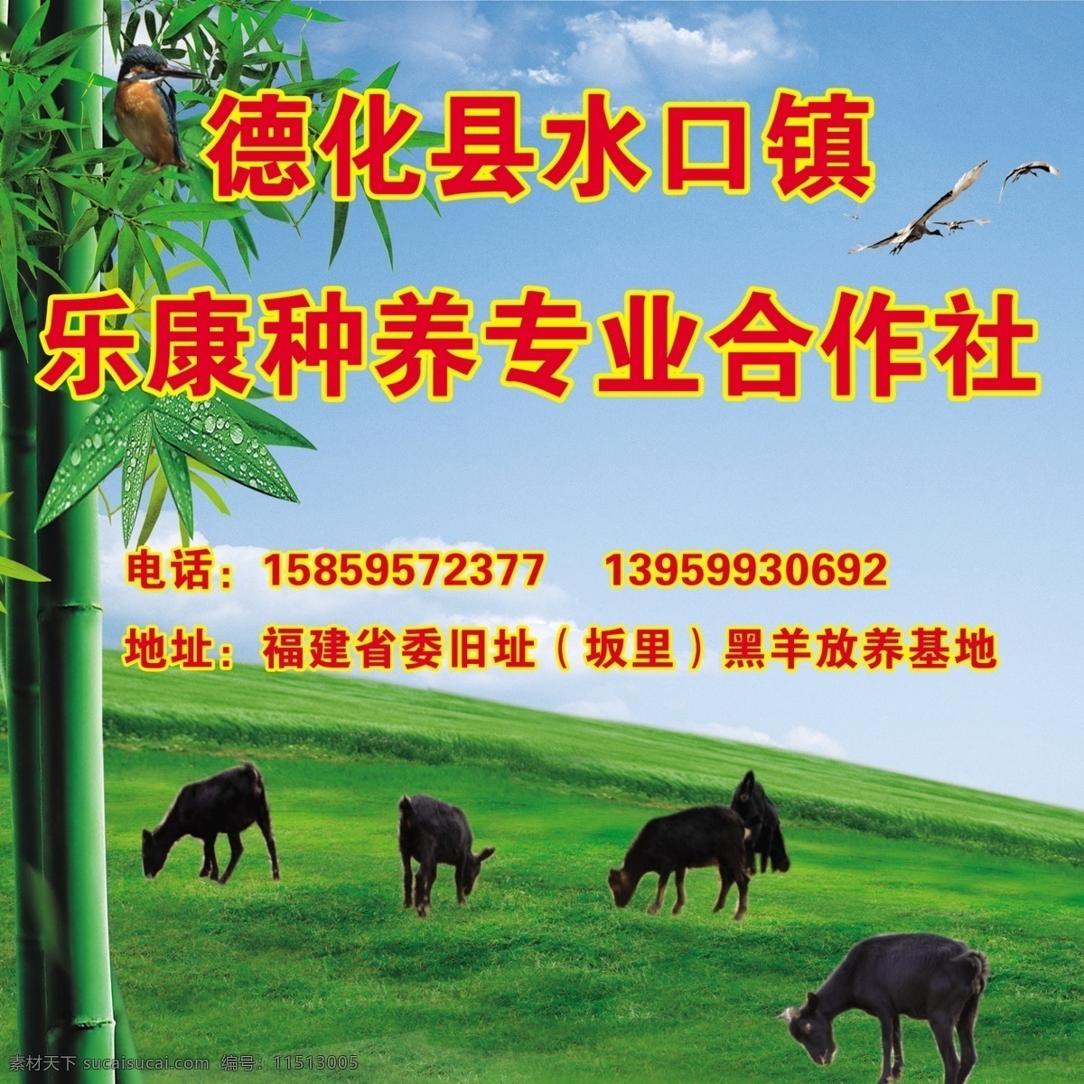 黑羊放养基地 竹子 草地 黑羊 小鸟 蓝天白云 背景 分层 源文件