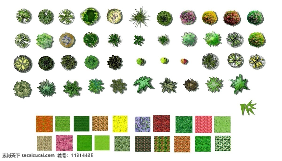 彩色 植物 平面图 景观 彩平 自然景观 建筑园林