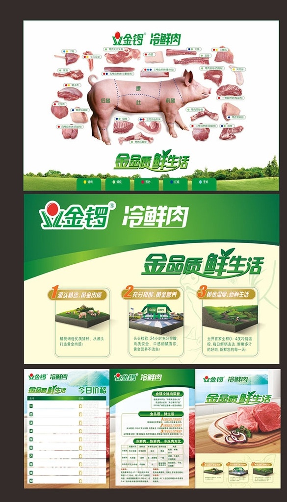 冷鲜肉 金锣 单页 彩页 猪分解图 dm宣传单