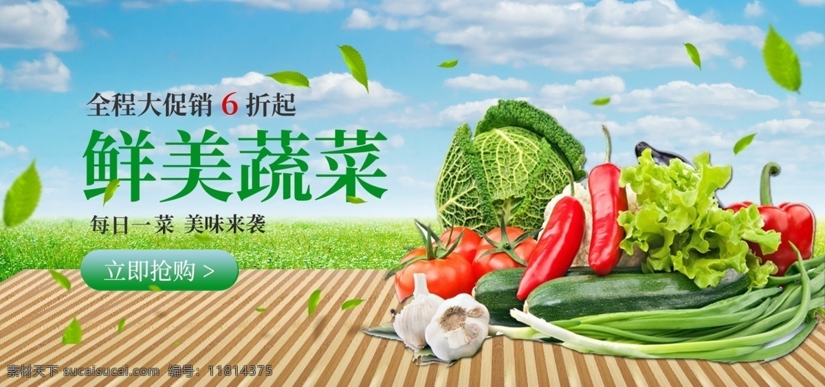 鲜美 蔬菜 banner 绿叶 蓝天 木板