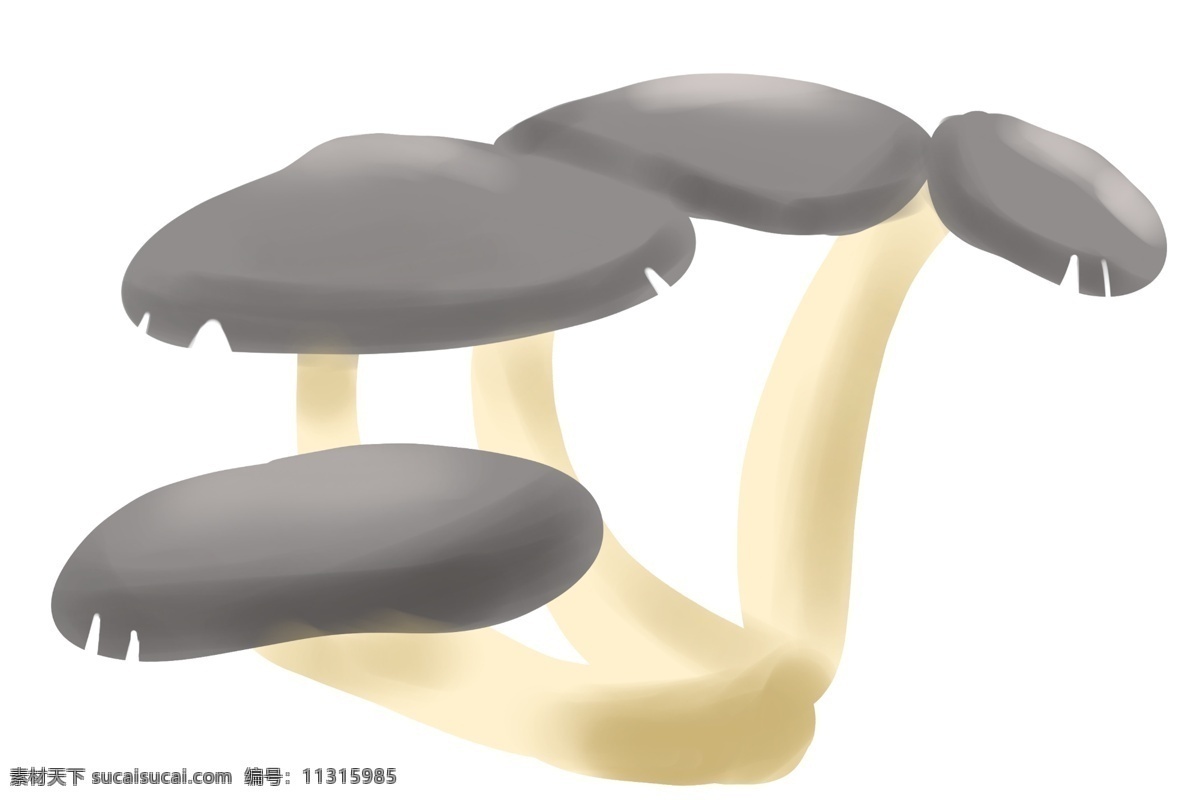 食 材 蔬菜 蘑菇 插画 卡通插画 食材插画 蔬菜插画 食品插画 食物插画 黑色的云冠 白色的蘑菇