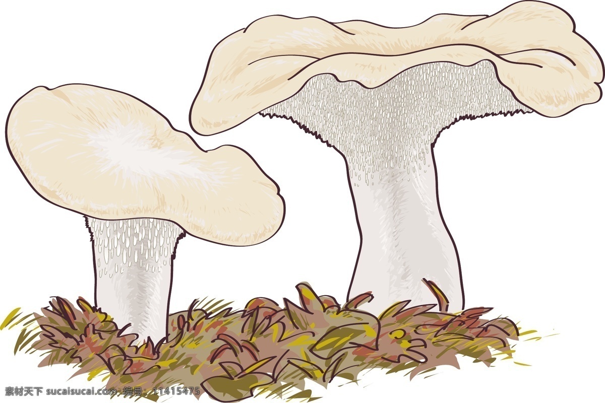 手绘矢量蘑菇 餐饮美食 卡通蘑菇 美食 蘑菇 生活百科 食物 矢量素材 香菇 白色