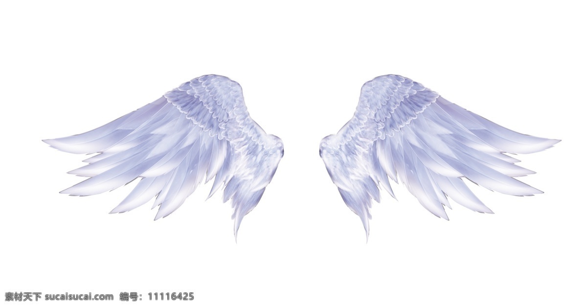翅膀 天使翅膀 天使的翅膀 白色翅膀 天鹅的翅膀 天鹅翅膀 银灰色的翅膀 美丽的翅膀 羽翼 翼 分层 源文件