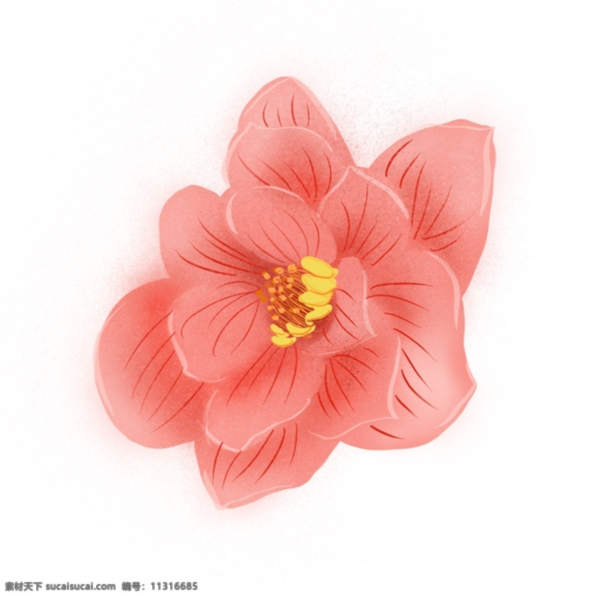 精美 粉色 花朵 装饰 红色 卡通 彩色 水彩 创意 手绘 绘画元素 现代 简约 图案