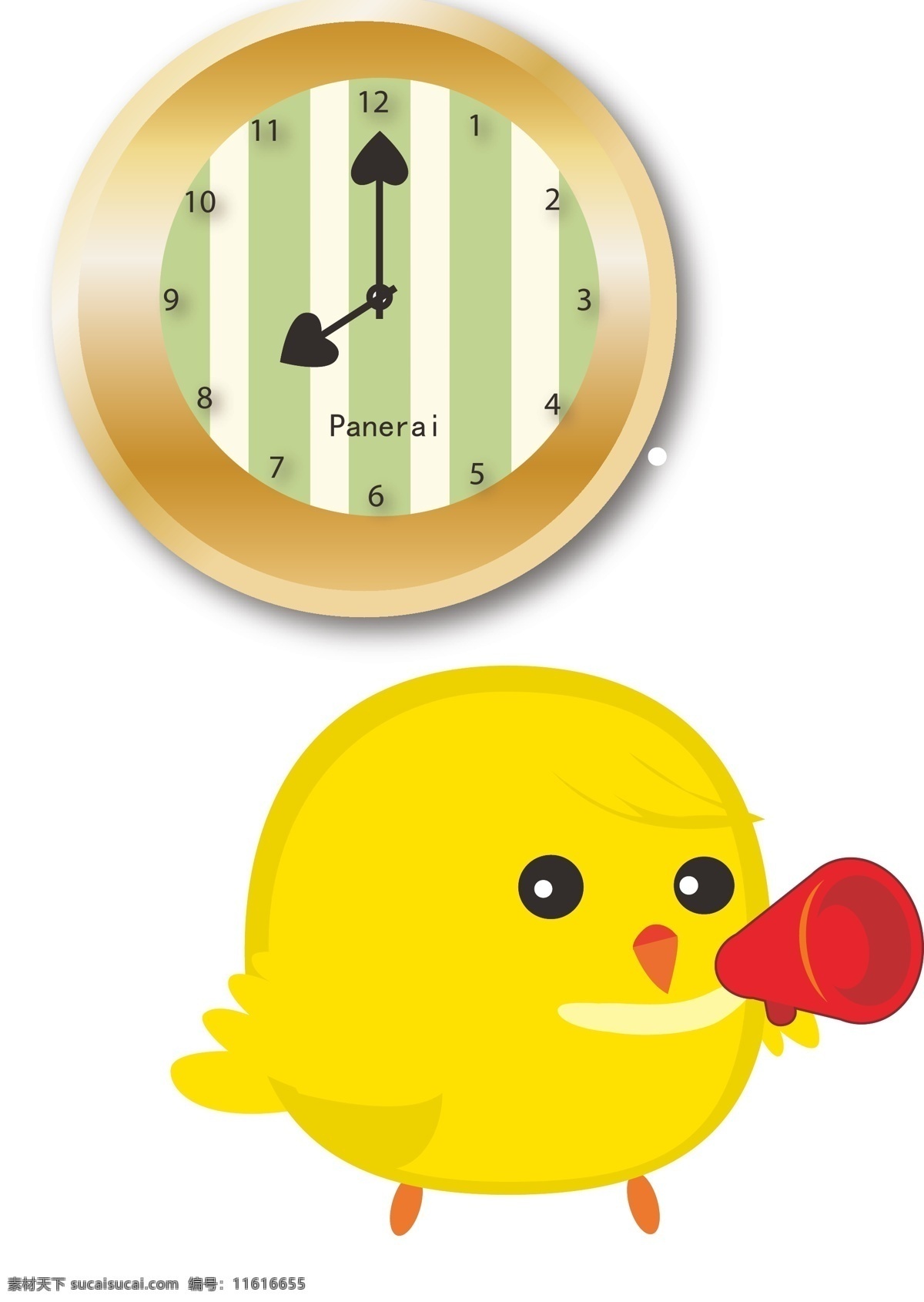 只 小鸡 开始 起床 早上 鸡叫 白色