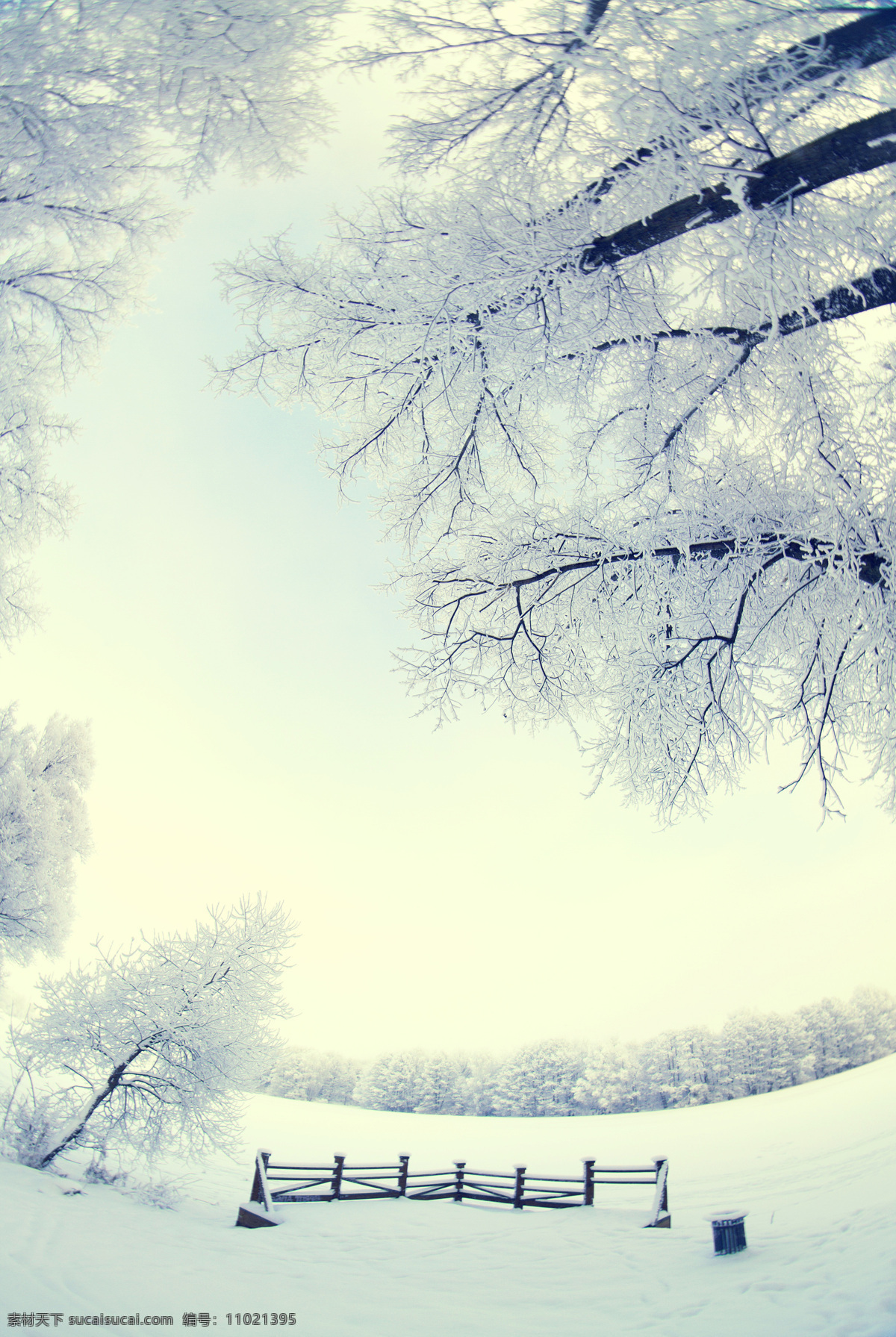 美丽 雪地 树木 风景 雪地风景 树林雪景 美丽雪景 冬天雪景 冬季美景 风景摄影 自然风景 自然景观 白色